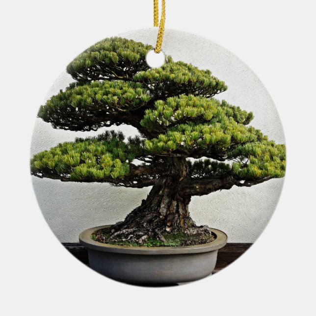 Adorno De Cerámica Pino blanco japonés Bonsai (Frente)