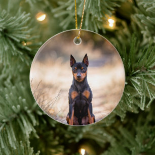 Adorno De Cerámica Pinscher Miniatura Sentado