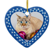 Pintura conmemorativa de un gato mascota imprime N