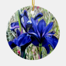 Pintura de aceite de Iris