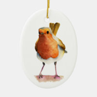 Pintura de la acuarela del pájaro del petirrojo