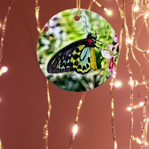 Adorno De Cerámica Pintura de mariposas