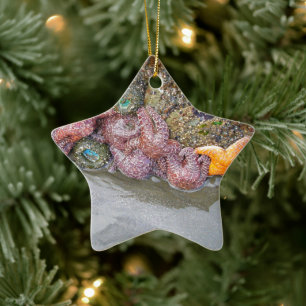 Adorno De Cerámica Piscina de marea, playa de Ruby, Parque Nacional O