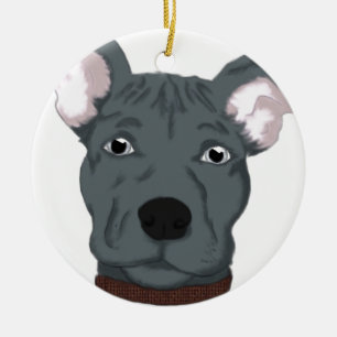 Adorno De Cerámica Pitbull