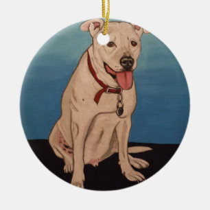 Adorno De Cerámica Pitbull