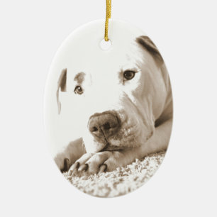 Adorno De Cerámica pitbull blanco amistoso soñoliento odiar hecho no