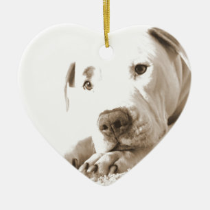 Adorno De Cerámica pitbull blanco amistoso soñoliento odio hecho no r
