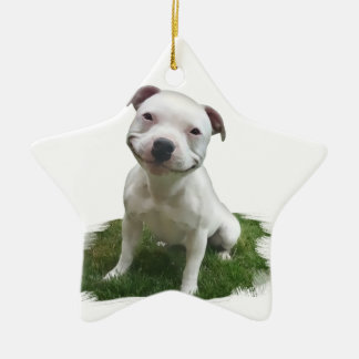 Adorno De Cerámica Pittie sonriente