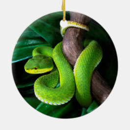Adorno De Cerámica pitviper de bambú Rojo-atado
