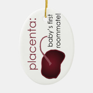 Adorno De Cerámica placenta, el primer compañero de cuarto del bebé