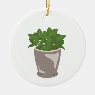 Adorno De Cerámica Planta Basil