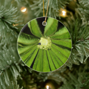 Adorno De Cerámica Planta de palma para bebés por Shirley Taylor