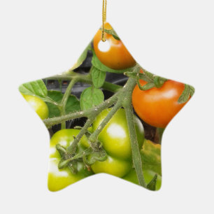 Adorno De Cerámica Planta de tomate