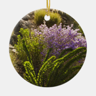 Adorno De Cerámica plantas del desierto de Chihuahuan en flor