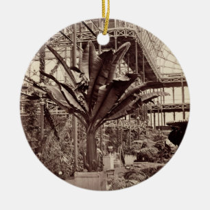 Adorno De Cerámica Plantas tropicales en el cuarto egipcio, Pala