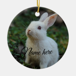 Adorno De Cerámica Plantilla de foto de nombre de mascota simple de p