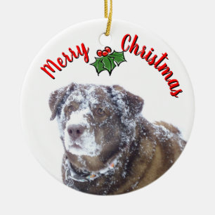 Adorno De Cerámica Plantilla de foto mascota personalizada de Feliz N