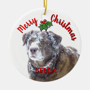 Adorno De Cerámica Plantilla de foto mascota personalizada de Feliz N