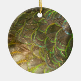 Adorno De Cerámica Plumas de Pavo Real III (Hembra) Diseño Sutil de l