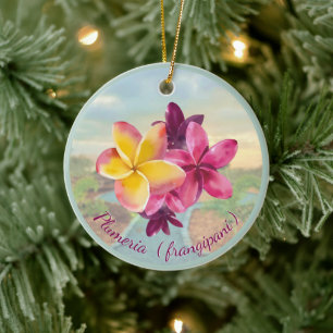 Adorno De Cerámica Plumeria