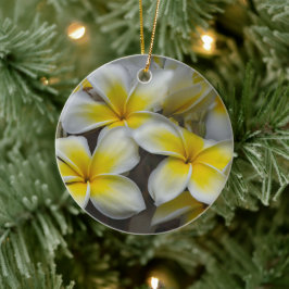 Adorno De Cerámica Plumeria Hawaiana Pétalo Suave
