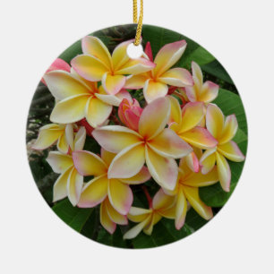 Adorno De Cerámica Plumeria hawaiano