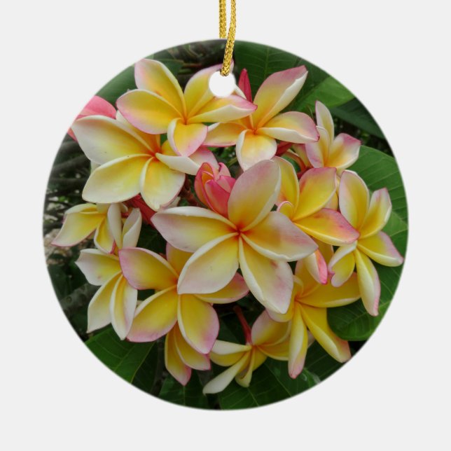 Adorno De Cerámica Plumeria hawaiano (Frente)