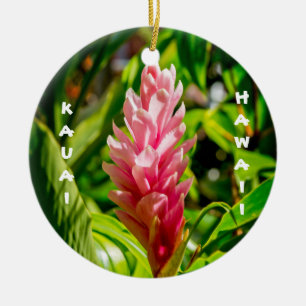 Adorno De Cerámica Plumeria y jengibre de Hawái en rosa