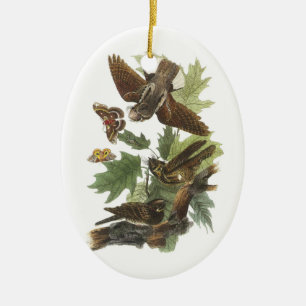 Adorno De Cerámica Pobre voluntad extrema de Audubon