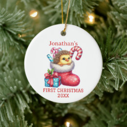 Adorno De Cerámica Pollito Lindo con Pelo de Erizo Navidad