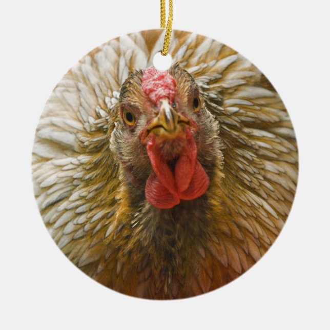 Adorno De Cerámica Pollo Oro-Atado de Wyandotte (Frente)