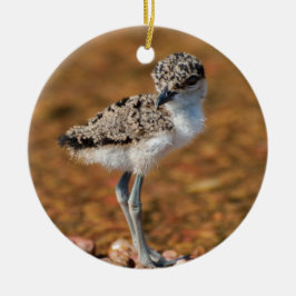 Adorno De Cerámica Pollos