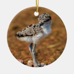 Adorno De Cerámica Pollos