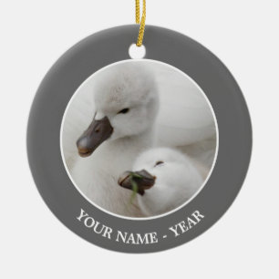 Adorno De Cerámica Pollos del cisne del cisne mudo