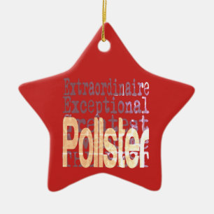 Adorno De Cerámica Pollster Extraordinaire