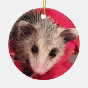 Adorno De Cerámica Polly Cute Baby Possum