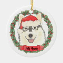 Pomsky personalizado
