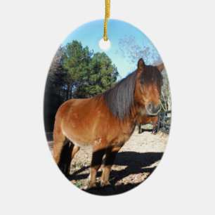 Adorno De Cerámica Poni marrón cielo turquesa