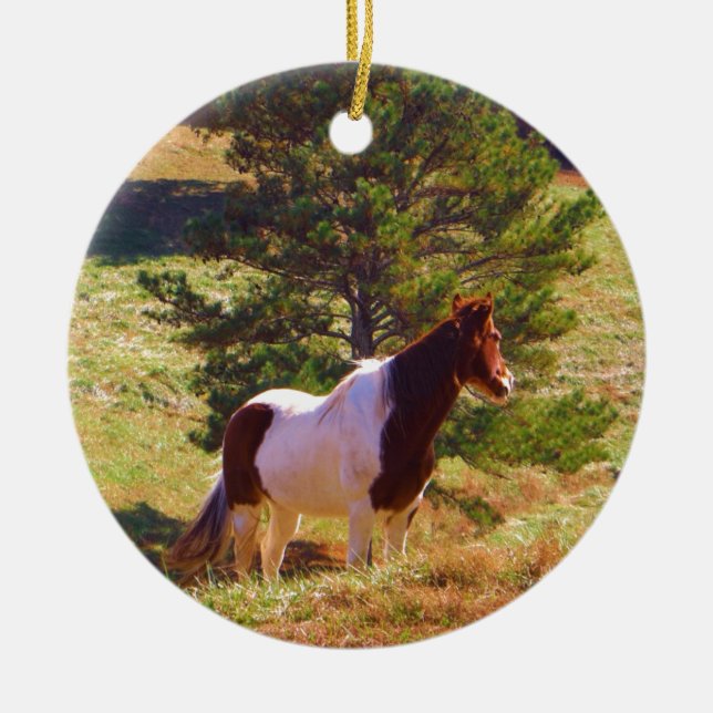 Adorno De Cerámica Pony pintado por el pino (Frente)