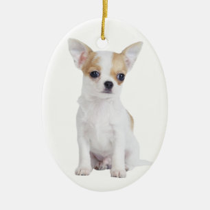 Adorno De Cerámica Popa chihuahua
