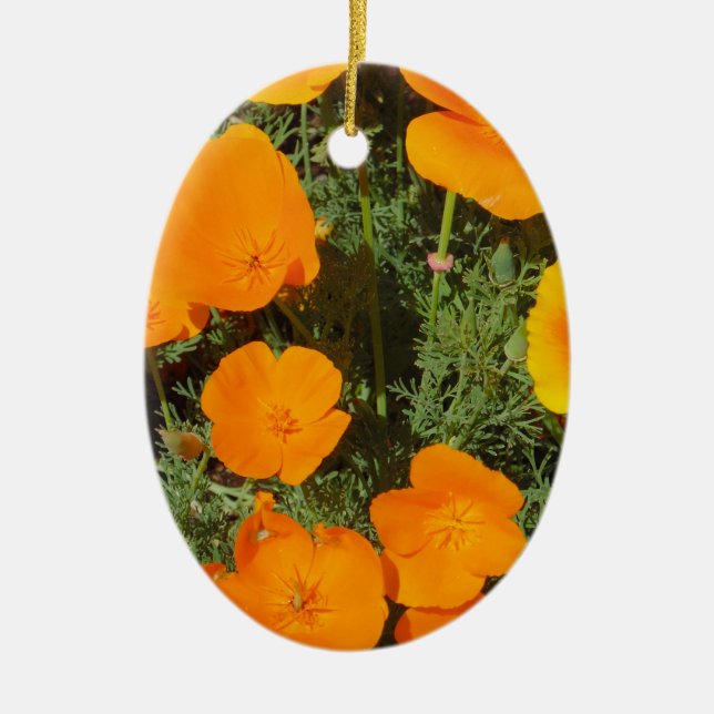 Adorno De Cerámica Poppy de California (Frente)