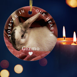 Adorno De Cerámica Por Siempre En Nuestro Corazón, Mascota Personaliz