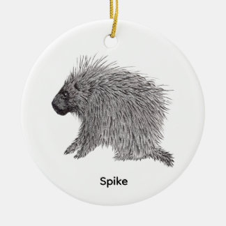 Adorno De Cerámica Porcupine