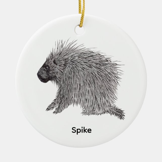 Adorno De Cerámica Porcupine (Frente)