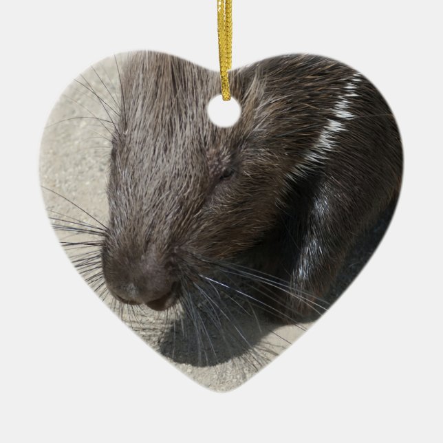 Adorno De Cerámica Porcupine reposado de India (Frente)