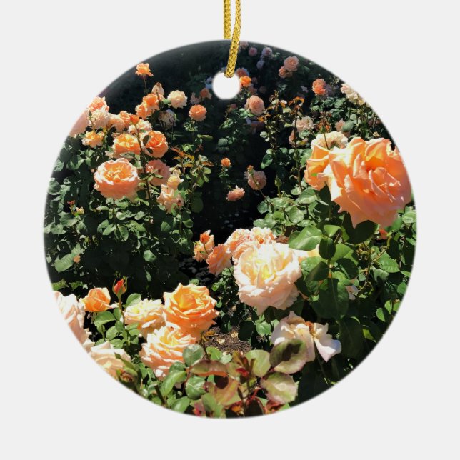 Adorno De Cerámica Portland Rosa Garden, OR (Frente)