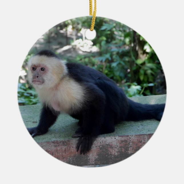 Adorno De Cerámica Portrait.JPG (Frente)