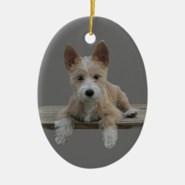 Adorno De Cerámica Portugués Podengo Pequeno del alambre (Frente)