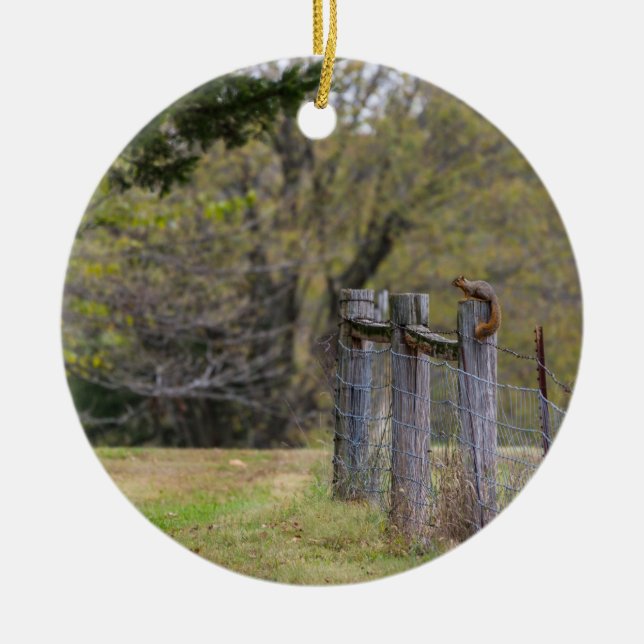 Adorno De Cerámica Pose de la cerca de la ardilla (Frente)