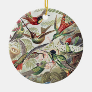 Adorno De Cerámica Póster Vintage de Colibrí Colorido de Ernst Haecke